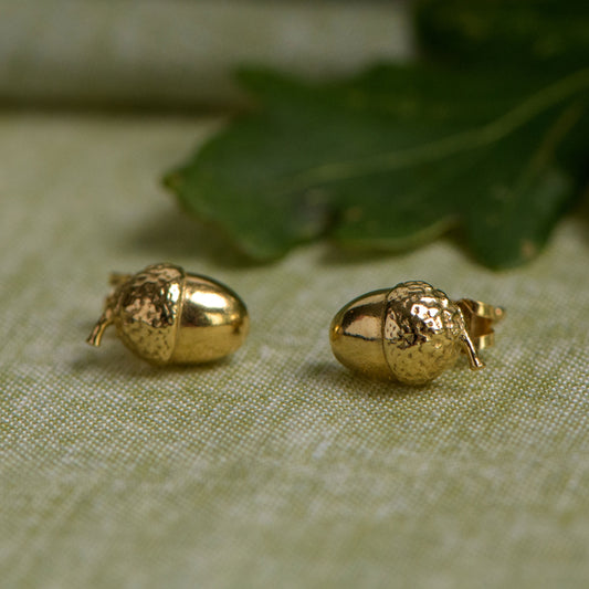 Acorn 9ct gold studs by Notion Jewellery