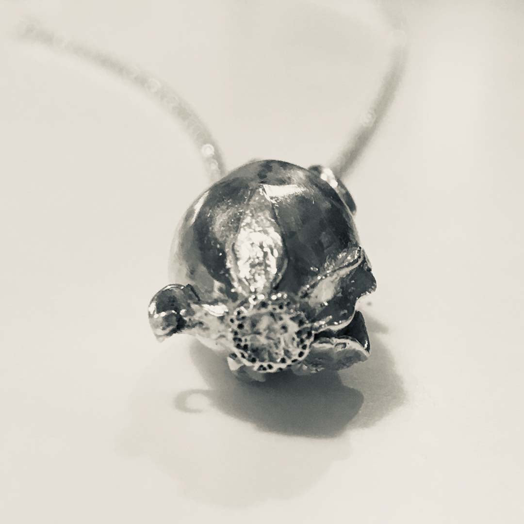 Single rosehip