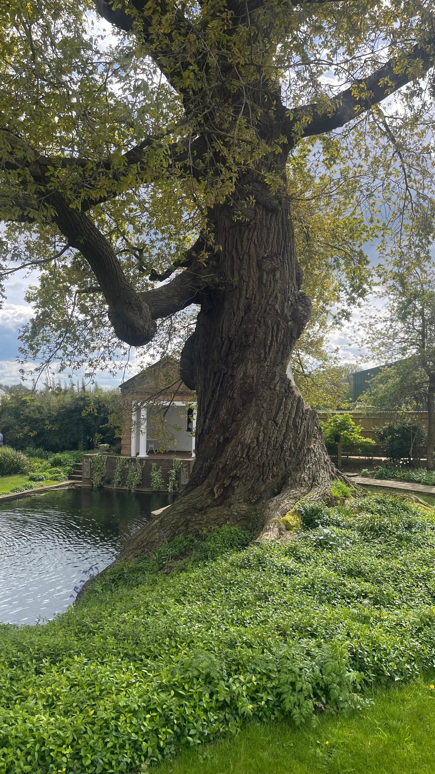 Micklefield Hall Oak Range