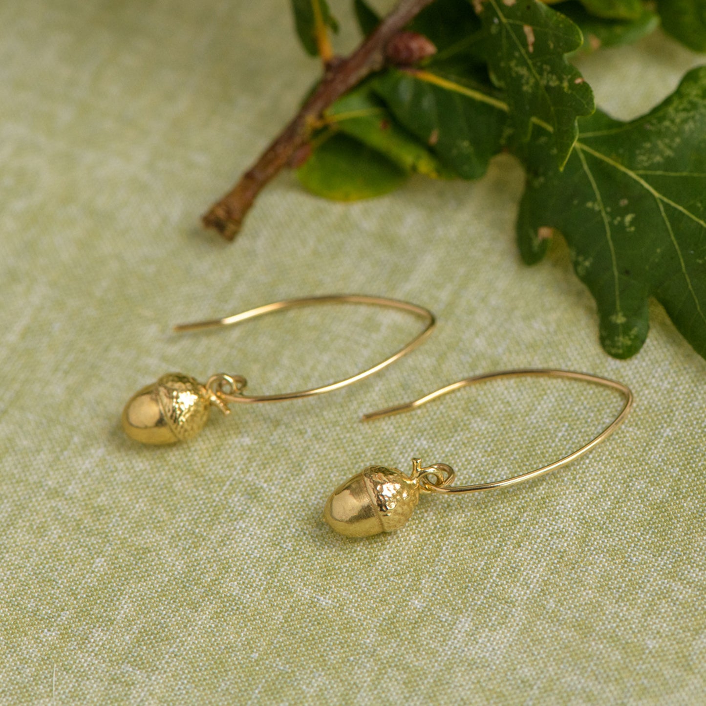 9ct yellow gold acorn earrings by Notion Jewellery