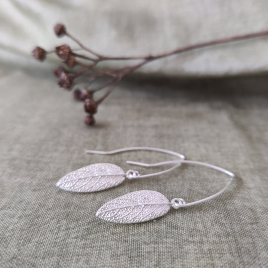 Leaf earrings in silver by Notion Jewellery